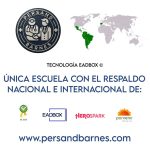 Respaldo Persand Barnes